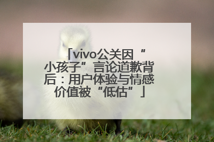 vivo公关因“小孩子”言论道歉背后：用户体验与情感价值被“低估”